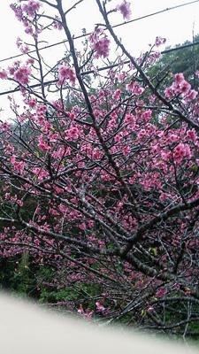 13022501.jpg