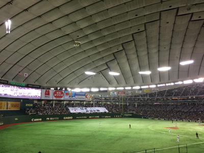 14111502.jpg