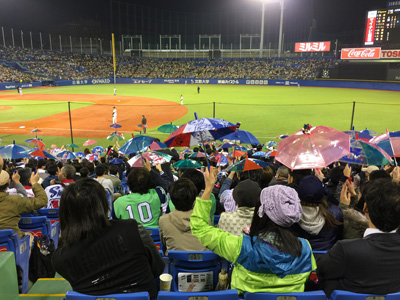 15033101.jpg